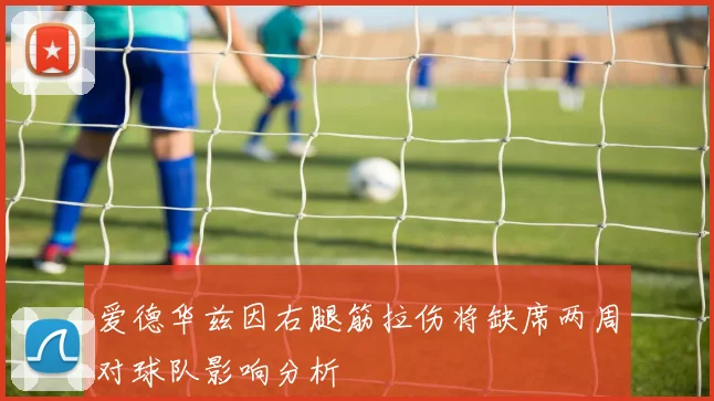 爱德华兹因右腿筋拉伤将缺席两周对球队影响分析