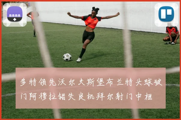 多特领先沃尔夫斯堡布兰特头球破门阿穆拉错失良机拜尔射门中框